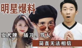 天涯明星亲自爆料视频,揭秘娱乐圈不为人知的真相